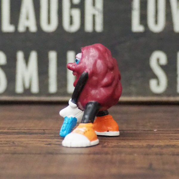 画像2: カリフォルニアレーズン  (2)