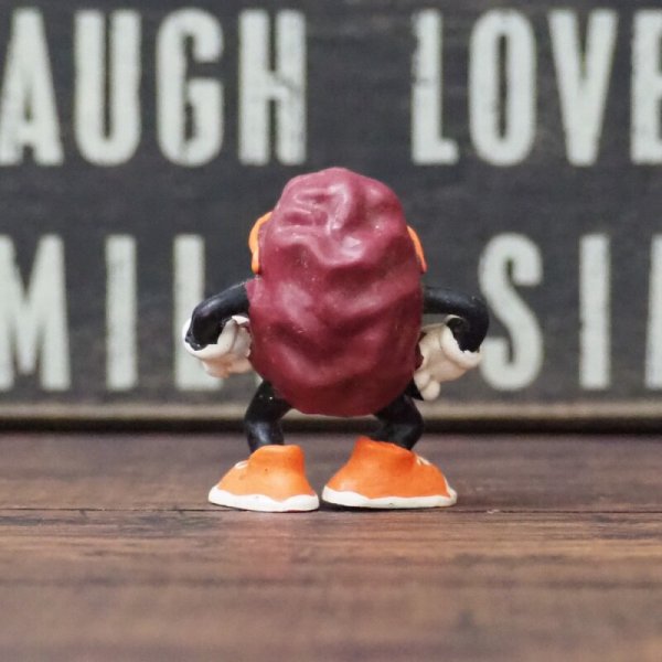 画像3: カリフォルニアレーズン  (3)