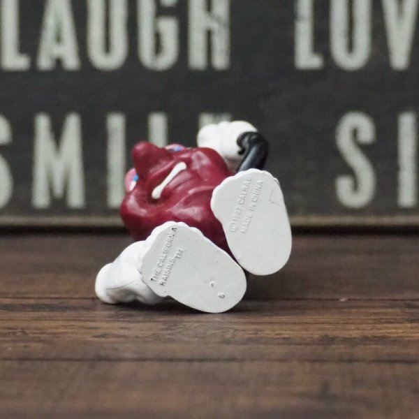 画像5: カリフォルニアレーズン  (5)