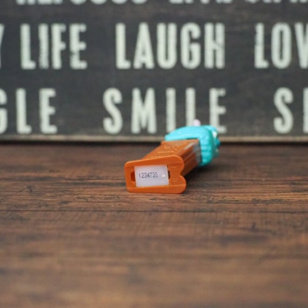 画像5: サリー PEZ (5)