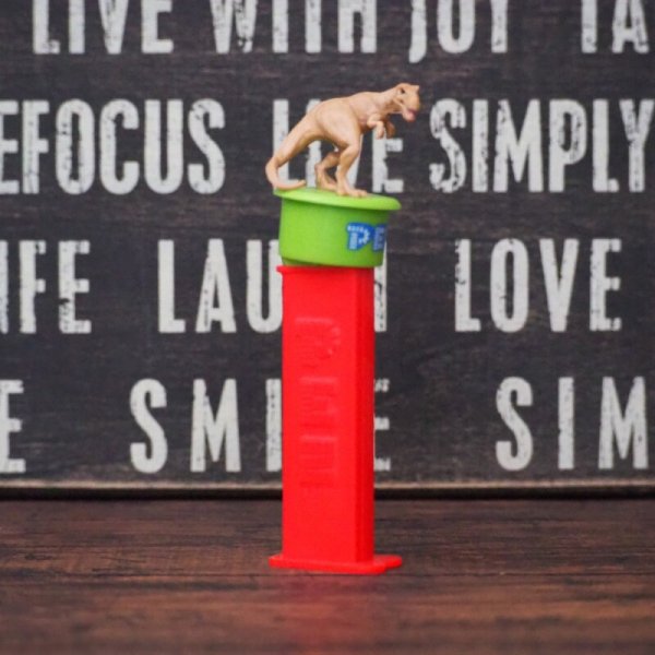 画像4: ジュラシックワールド PEZ (4)