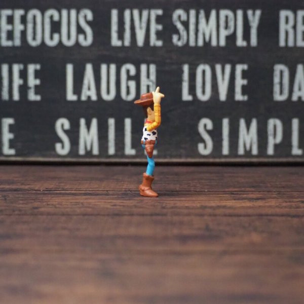 画像4: ウッディ フィギュア (28)  (4)