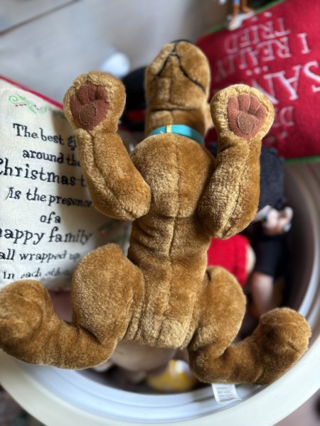 画像6: スクービードゥー プラッシュドール (6)