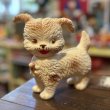 画像1: ラバードール パピー (1)  (1)