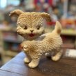 画像1: ラバードール パピー (2)  (1)