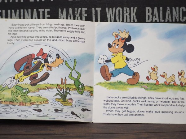 画像5: Baby Animals 洋書 (5)