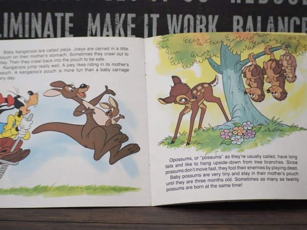 画像6: Baby Animals 洋書 (6)