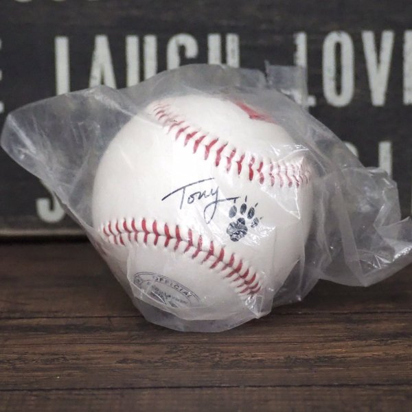 画像2: Kellogg’s Tony the Tiger Ball (2)