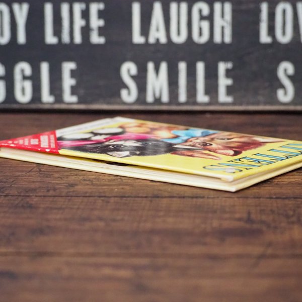 画像3: KITTENS ヴィンテージ 洋書  (3)