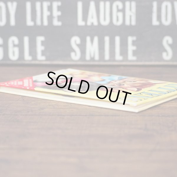 画像3: KITTENS ヴィンテージ 洋書  (3)