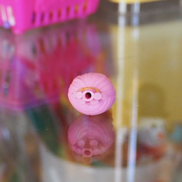 画像3: Lalaloopsy Tinies (3)