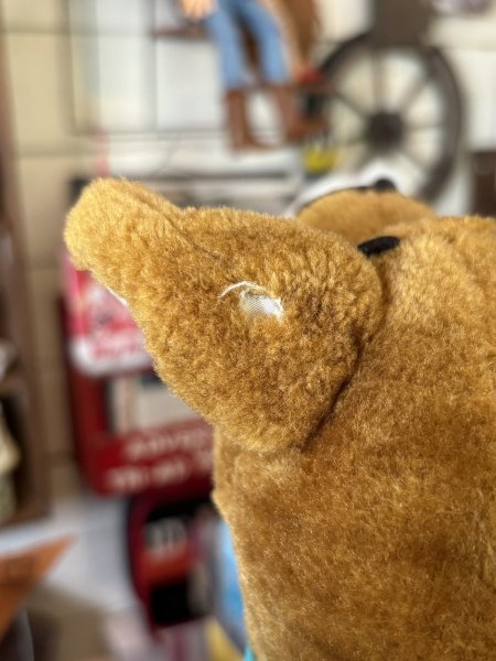 画像9: スクービードゥー プラッシュドール (9)