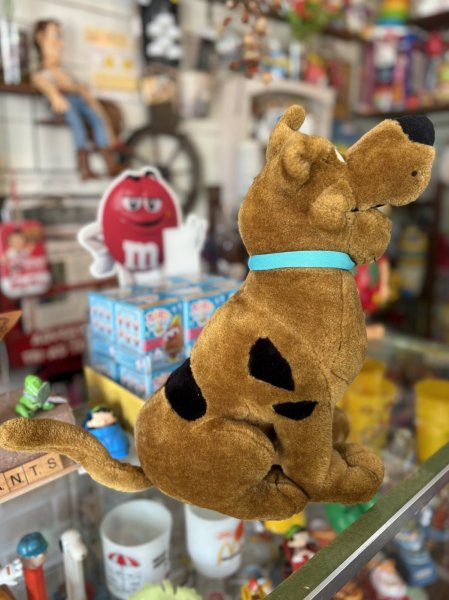 画像6: スクービードゥー プラッシュドール (6)