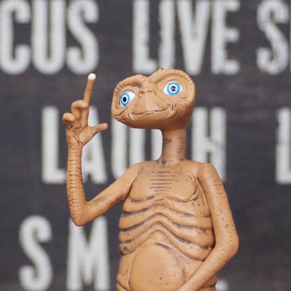 画像7: ET オーナメント (7)